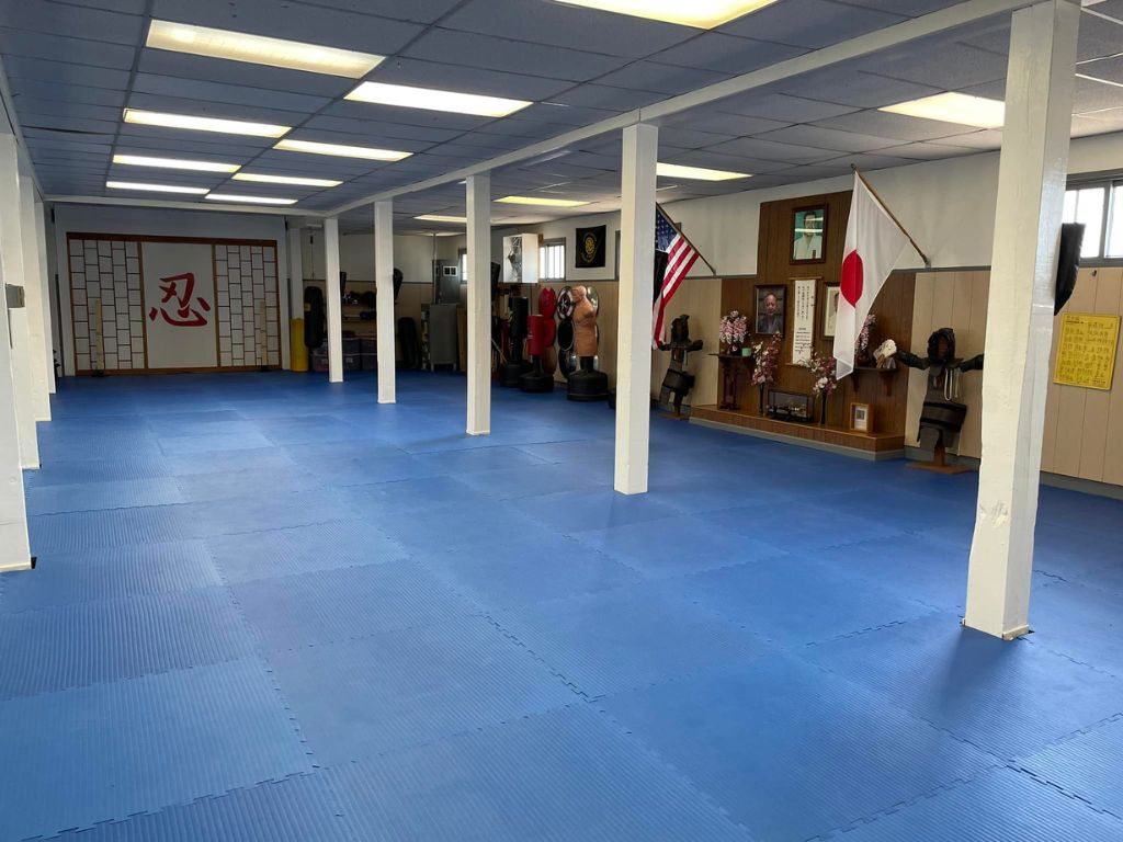 Allegheny County Budo-Kai 1