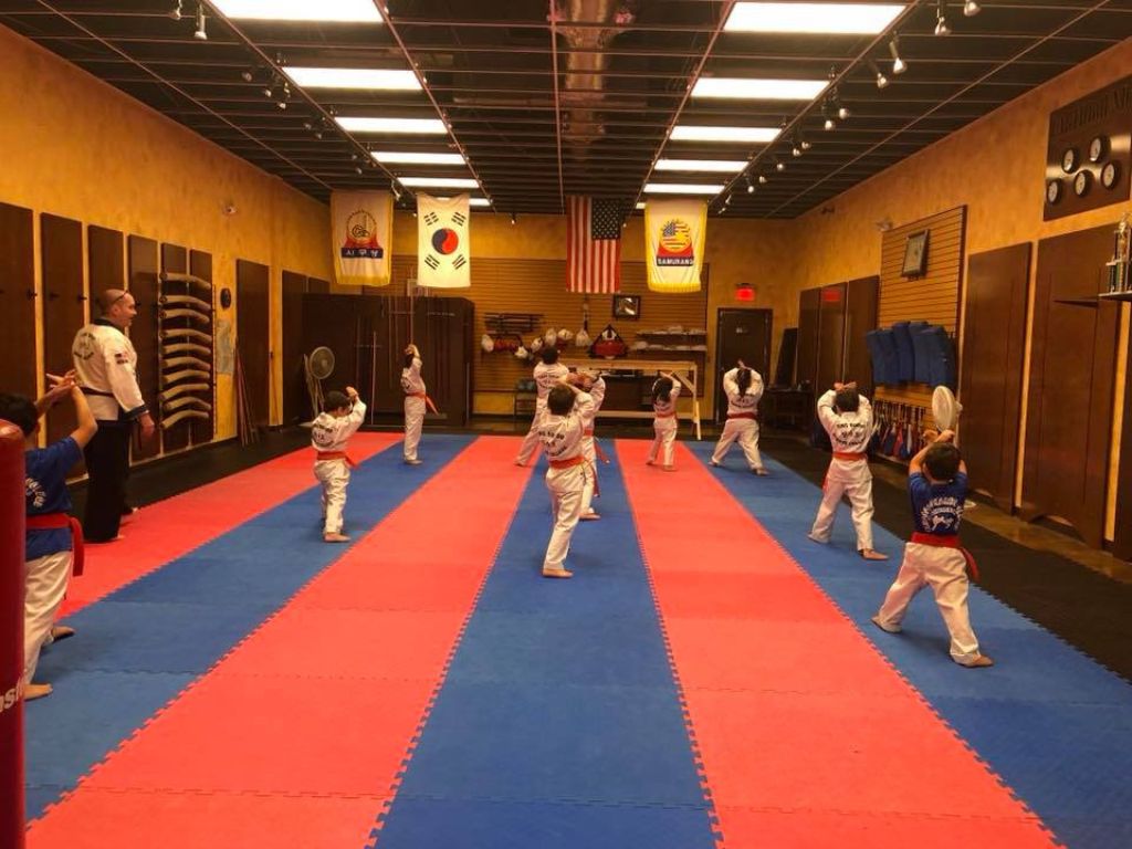 Tang Soo Do Karate Collage