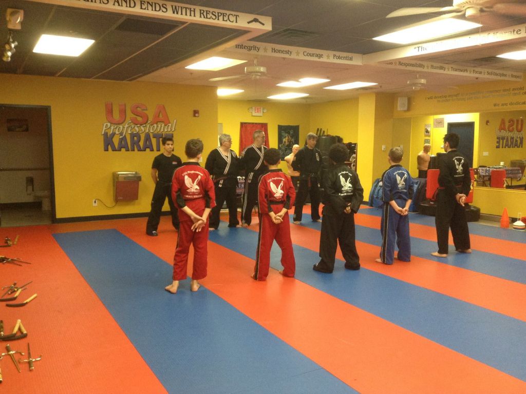 USA Professional Karate Studio 1