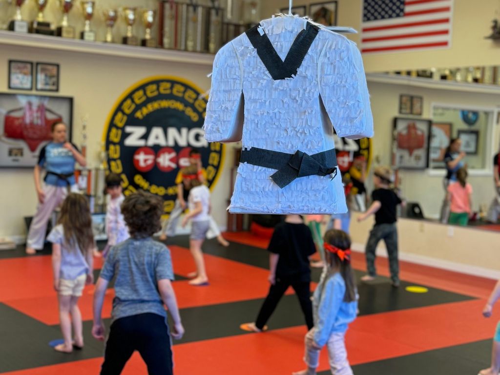 Zang Taekwon-Do 1